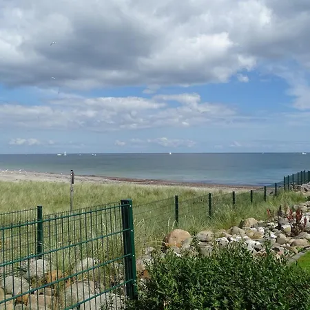 Strandkrabbe *