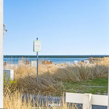Strandkrabbe *